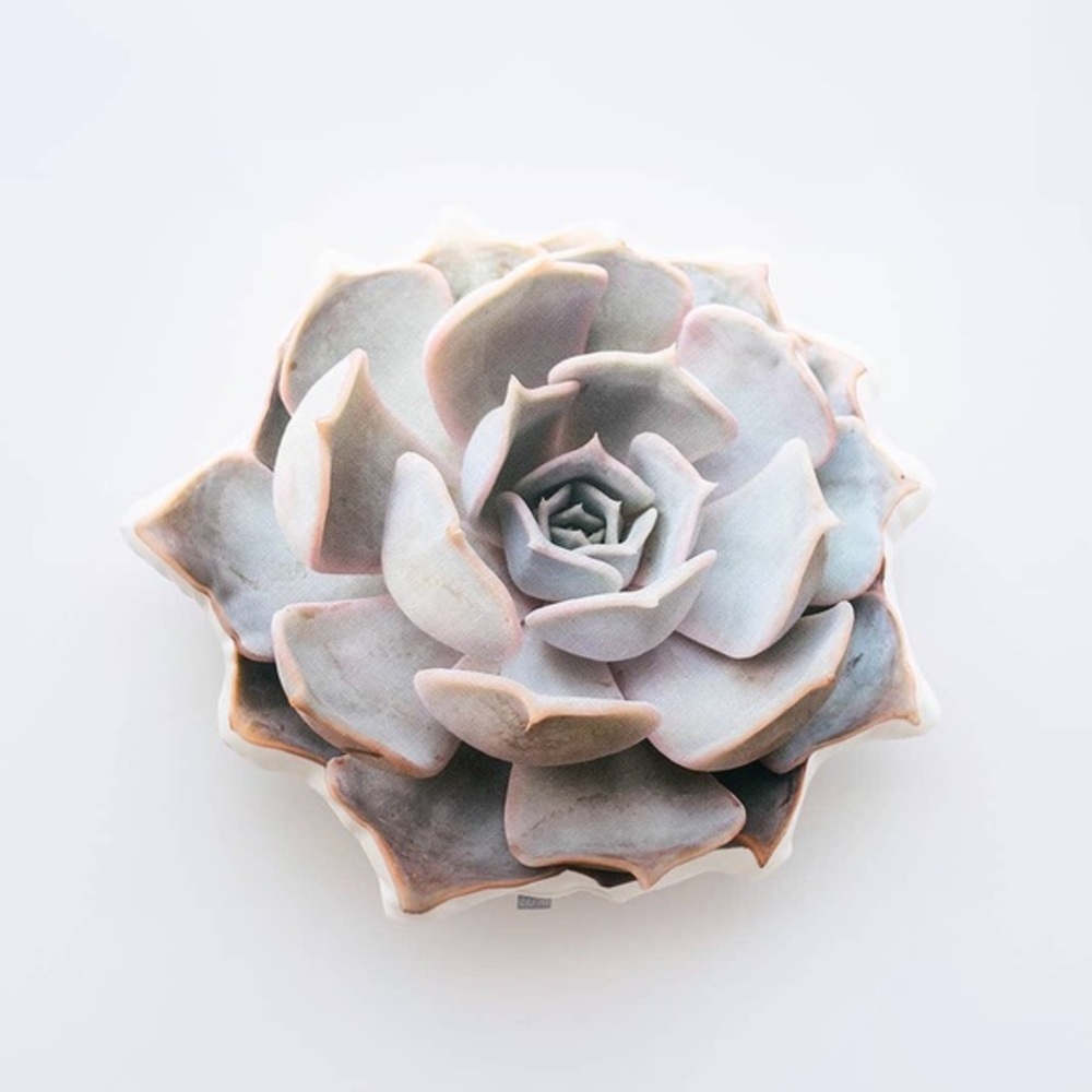 🆕 White Rose Succulent Linen Pillow